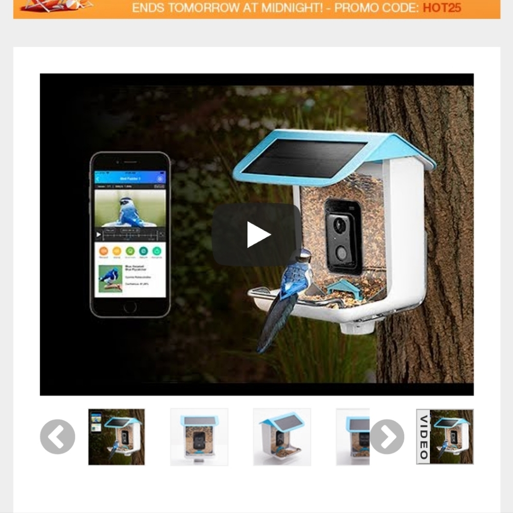Bird feeder